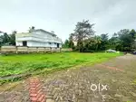 5.6 CENT OEGINAL LAND IN  ALUVA UC COLLEGE NEAR KARUMALLUR