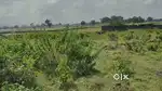 General plot for sale near mona gas binjhar RAMGARH JHARKHAND