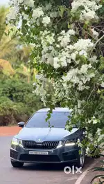 Skoda Octavia 2017 Diesel Well Maintained