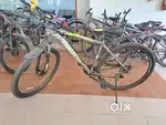 Toronto 29 inch bycycle