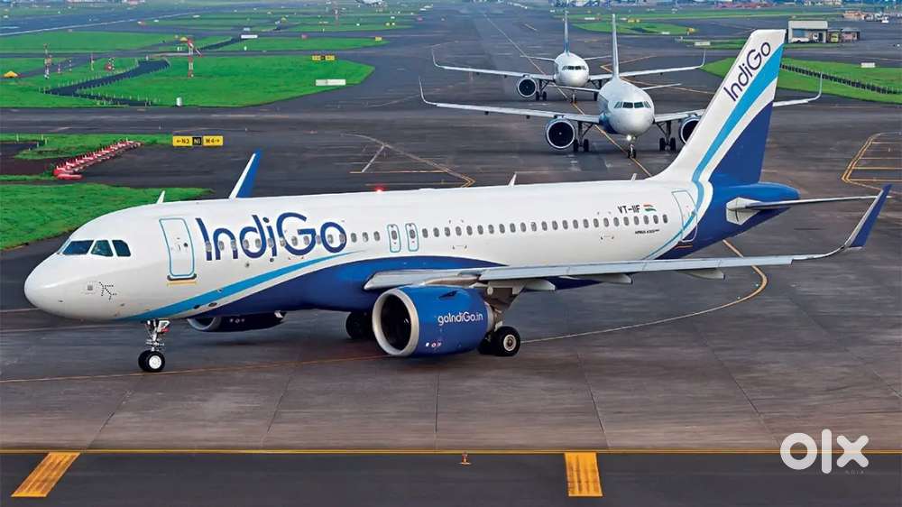 Jobs in indigo airlines apply fast