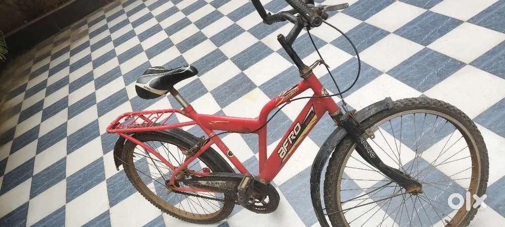 Afro Raptor Bicycle