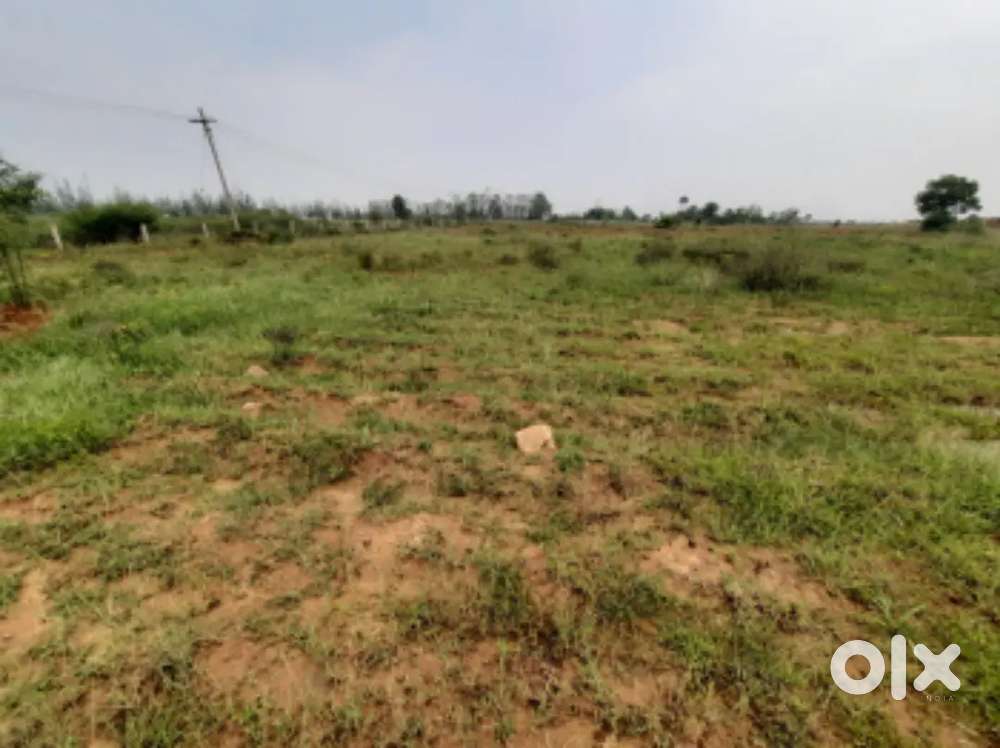 Bhubaneswar Cuttack Puri Nayagarh Dhenkanal khordha  available here