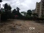 Land for sale beautifull location pone 8 katha