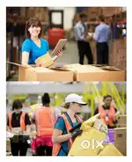 Hiring for grocery stores picking packing executives