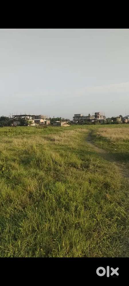 One Katha Myadi Plot For Sale Near NAMC Hospital Nagaon