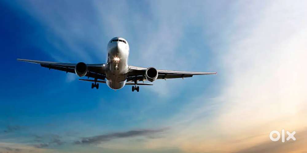 Urgent hiring for indigo airlines apply fast