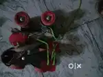 Beginner skate shoes