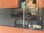 Whirlpool - Double Door Fridge in Kochi