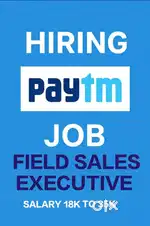 Field Sale executive