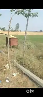 वाराणसी से 50 किमी दूर खेती की जमीन