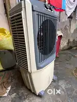 livepure cooler