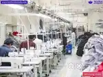 Mujhe meri company ke liye. Mujhe employ or halpero ko jarurj hai