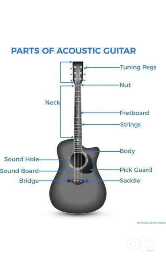 INT-38C-BK Acoustic Guitar Basswood Willow Right Hand Orientation