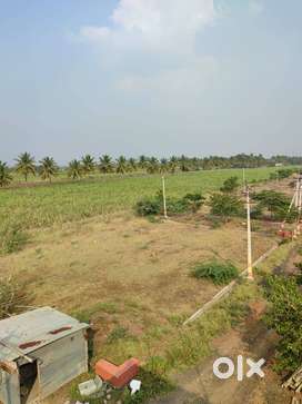 30X50Corner Plot Nr DrAbdul Kalam School Jamkhandi