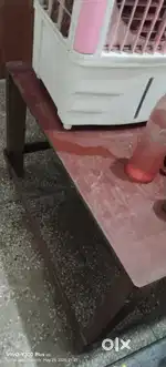 TABLE AND CHAIR