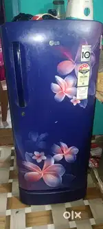 LG fridge seel 2019  a one condition