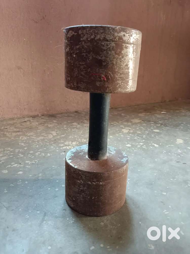 15 kg dumbbell