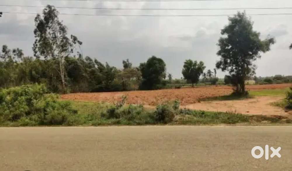 Urgent Sale – 4 Acre Land on Lingsur Main Road