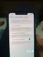 XS MAX  256 COMPANY DISPLAY 100% CONDITION NO SCRATCH BODY