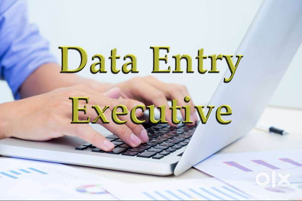 Data Entry Operator
