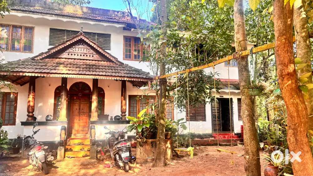 Paying guest for gents near hill palace museum