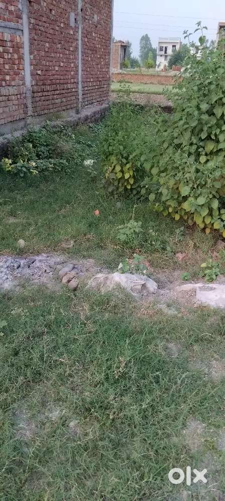 Shiv colony