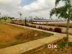 West facing 1st road plot for sale
