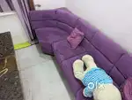 Solid Designer Purple Sofa 11 seater