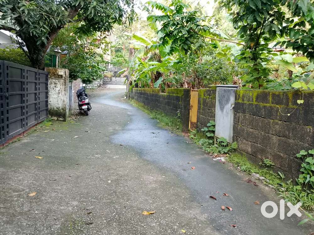 Kundamankadavu Corporation Area 12.5 Cent Per Cent 8.5 Lakhs Negotiab