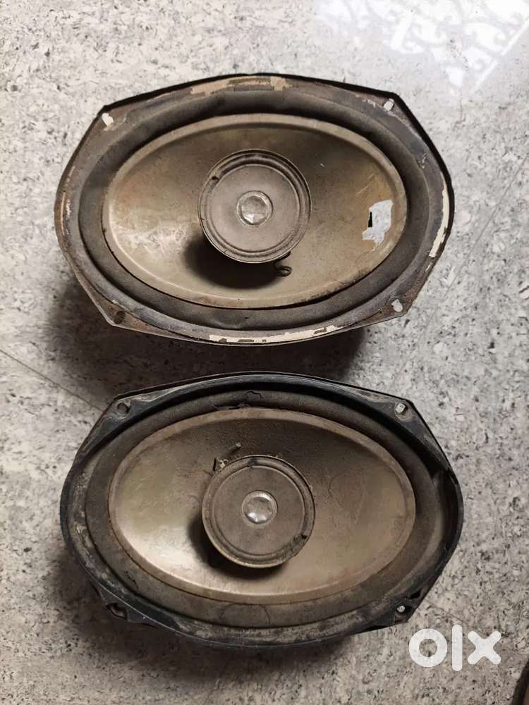 Original Pinnor speaker