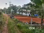 Thodupuzha muthalakodam pazhukakulam