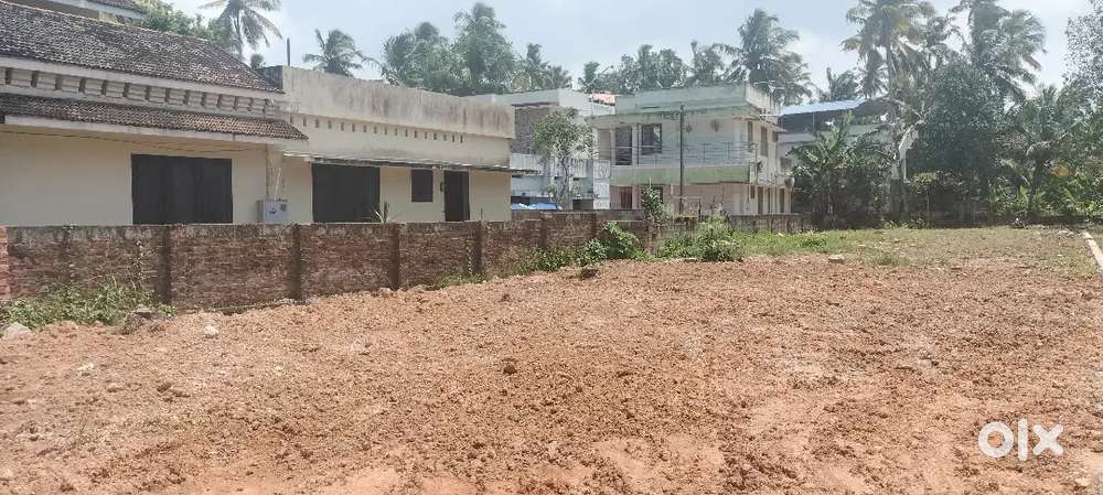 Road frontage 5 cent near karikkakam temple