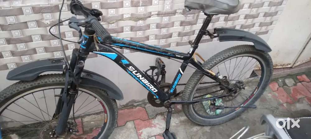 Sunbird cycle with disk breaks