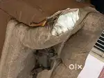 Sofa for Sale
