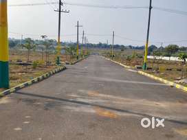 DTCP & RERA Approved Plots at Just ₹6,499/Sq.Yd! | Book Now!