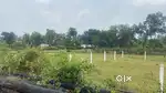 Vuda 2013 resale plot