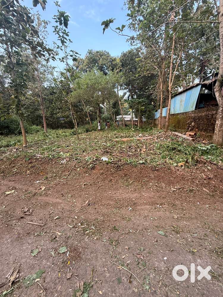 10 cent house plot for sale @ elakamon school vilapuram road side