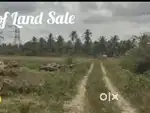 Ambur land sale 130 cent