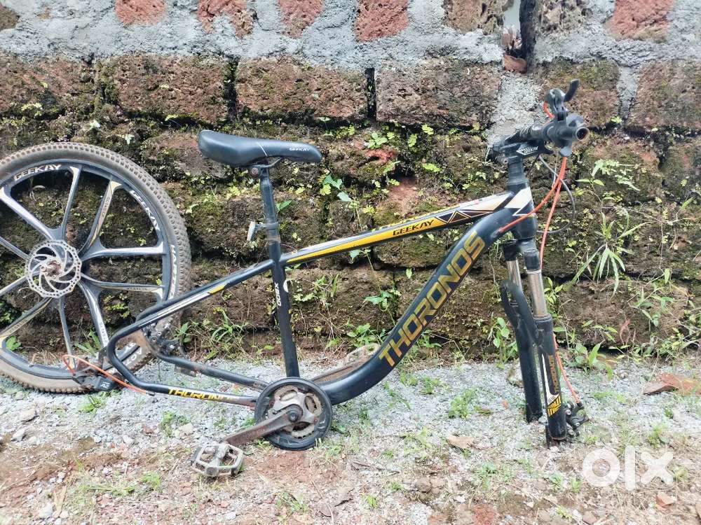 Tyre opening function 21 gear dual disc brake looking suspension etc