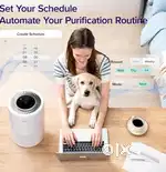 WiFi Air Purifier for Home, Alexa enabled HEPA Filter for Allergies