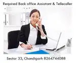 Required back office assistant & tellecaller