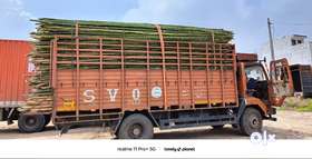 Urgent sale 20 ft bamboo for construction use, 250 piece @ 100 per piece