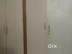 Building renovation and electrical plumbing carpentery painting work