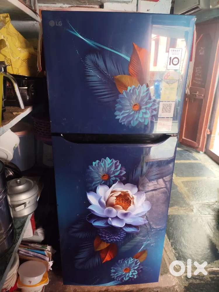 LG fridge blue