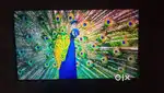 Redmi 55 inch