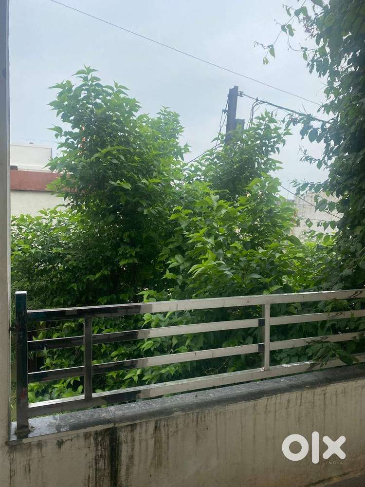 House first Floor for rent