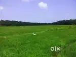 സ്ഥലം വില്പനക്ക്