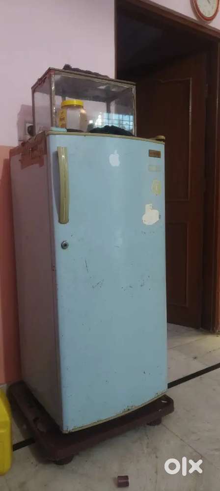 Freeze good condition