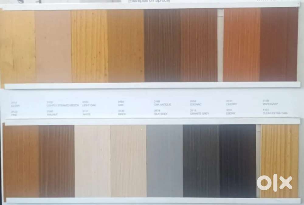 Back office work female only